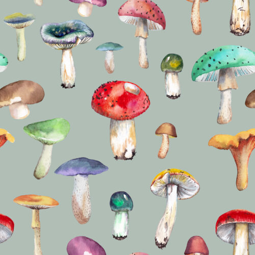 Hip Kid Design - Watercolor Mushrooms on Powder Ash