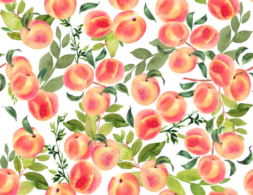 Hip Kid Design - Watercolor Peaches