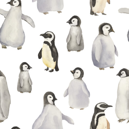 Hip Kid Design - Watercolor Penguins