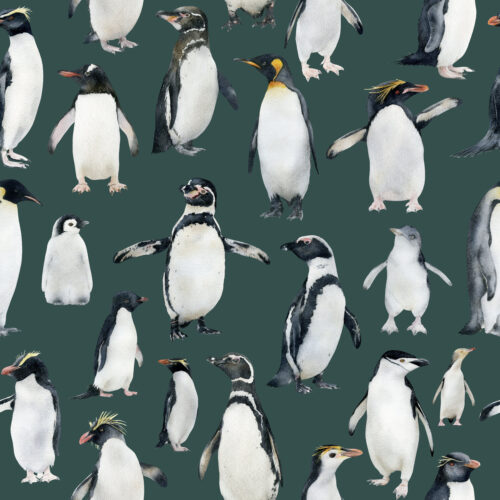 Hip Kid Design - Watercolor Penguins on Dark Green Teal