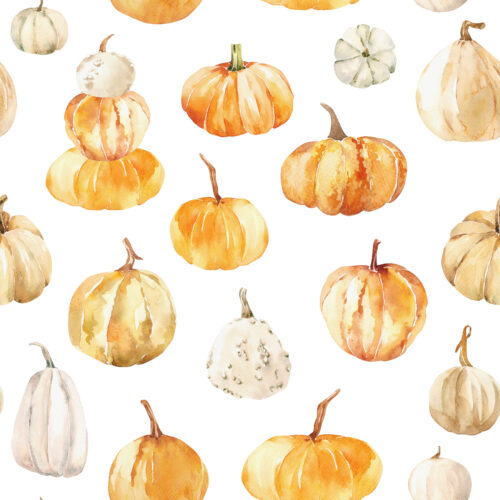 Hip Kid Design - Watercolor Pumpkins