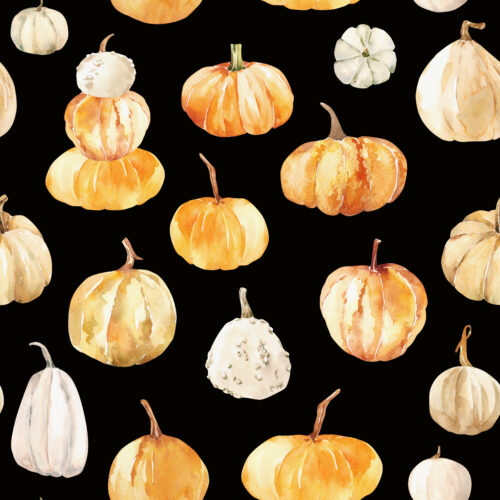 Hip Kid Design - Watercolor Pumpkins on Black
