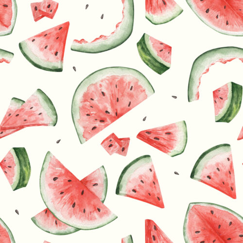 Hip Kid Design - Watermelon Bites Watercolor