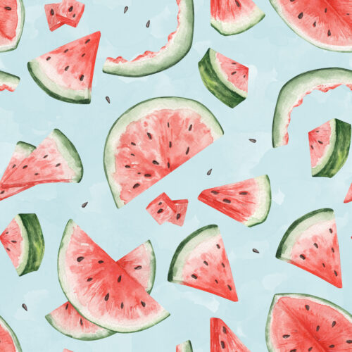 Hip Kid Design - Watermelon Bites Watercolor Light Blue