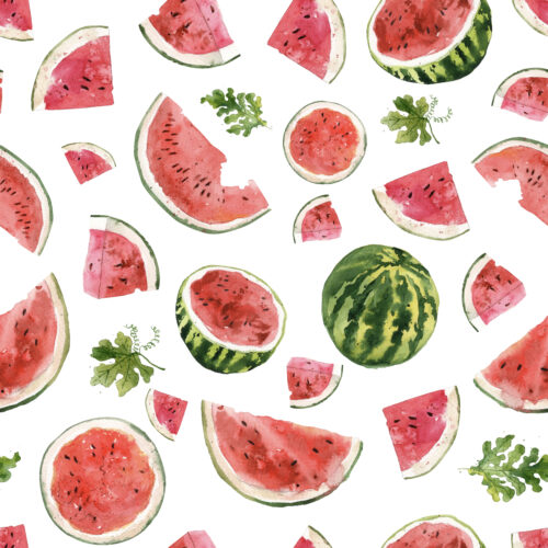Hip Kid Design - Watermelon Summer Fruit