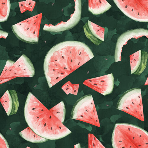 Hip Kid Design - Watermelon Watercolor Bites on Dark Green