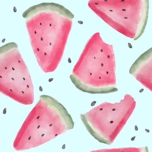 Lindsay Anne - Watermelon Slices Light Blue