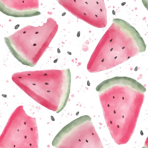 Lindsay Anne - Watermelon Slices White
