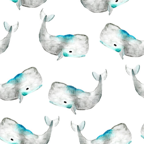 Hip Kid Design - Whale Tale