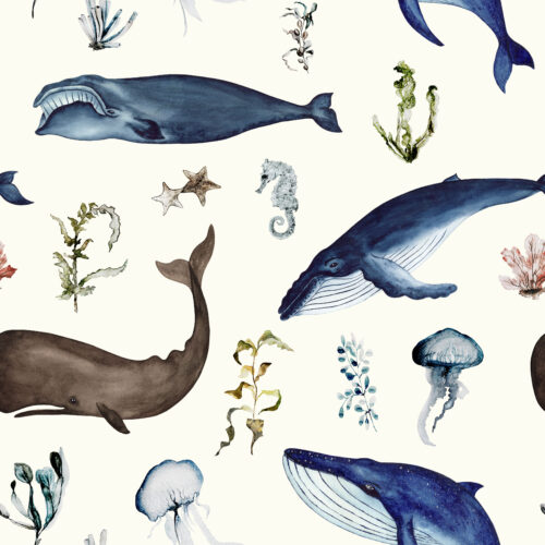 Hip Kid Design - Whale Watching on Citrine White