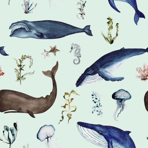 Hip Kid Design - Whale Watching on Edgewater Green