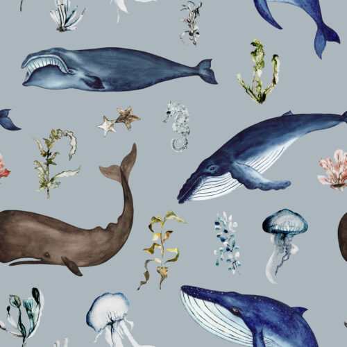 Hip Kid Design - Whale Watching on Pale Blue Gray