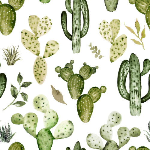 Hip Kid Design - Wild West Cactus (1)