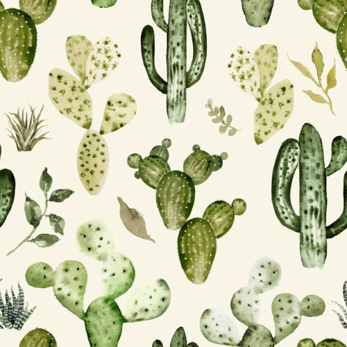 Hip Kid Design - Wild West Cactus