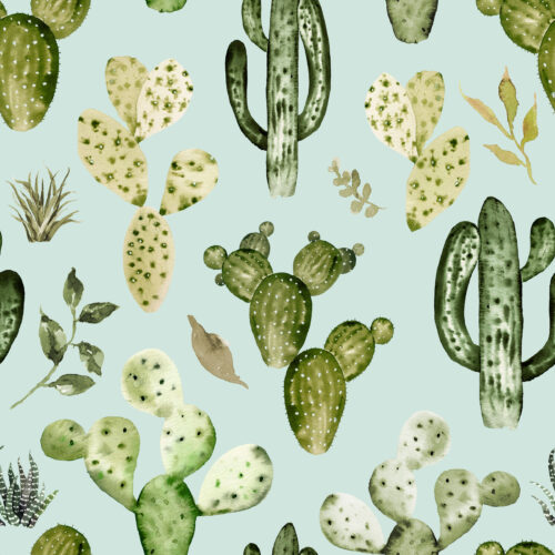 Hip Kid Design - Wild West Cactus on Edgewater Green