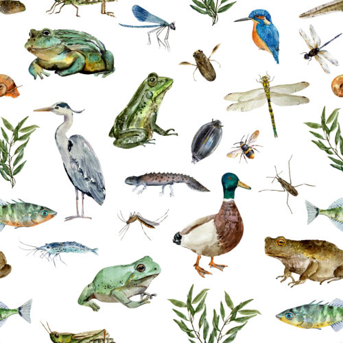 Hip Kid Design - Wildlife Pond