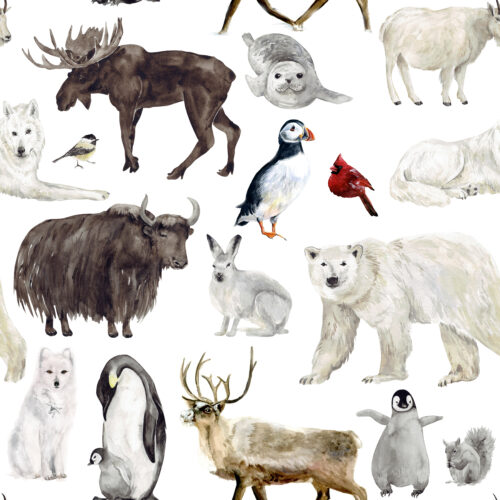 Hip Kid Design - Winter Animals