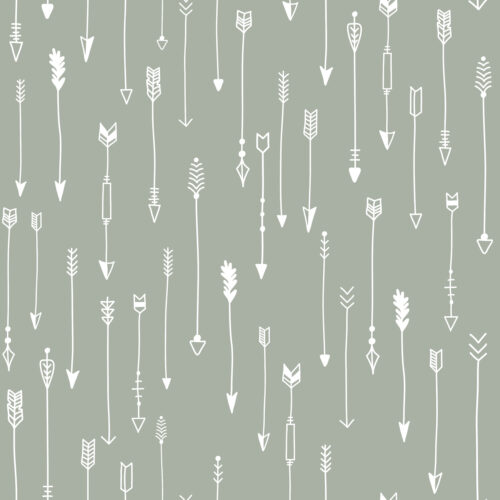 Hip Kid Design - Woodland Arrows Sketch on Sage