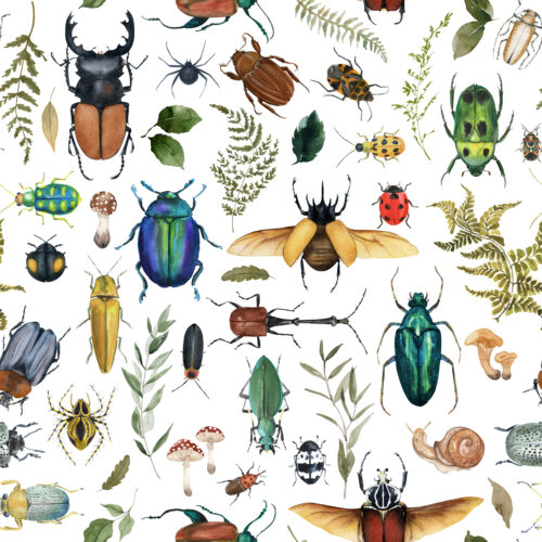 Hip Kid Design - Woodland Forest Bugs and Insects
