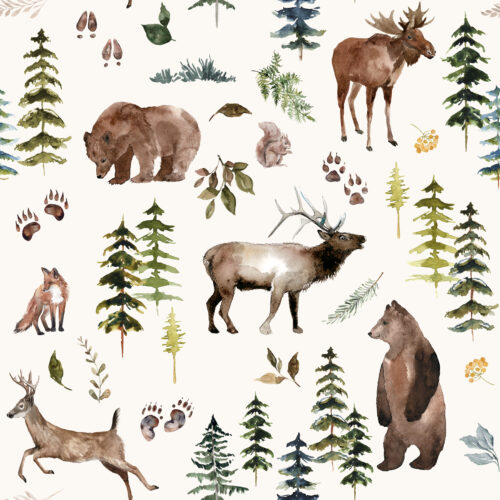 Hip Kid Design - Woodland Ridge