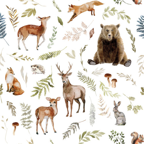 Hip Kid Design - Woodland Storybook