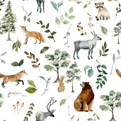 Hip Kid Design - Woodland Whimsy Forest