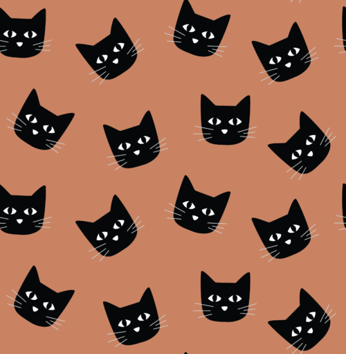 Hey Cute Design - Black Cats 3 In