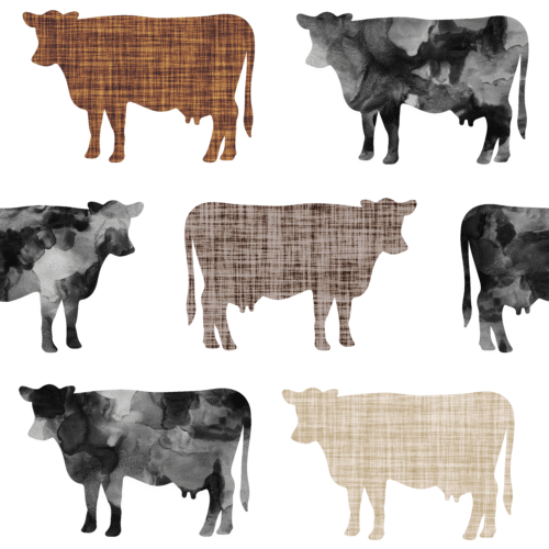 Blackbrowntaupelinencows