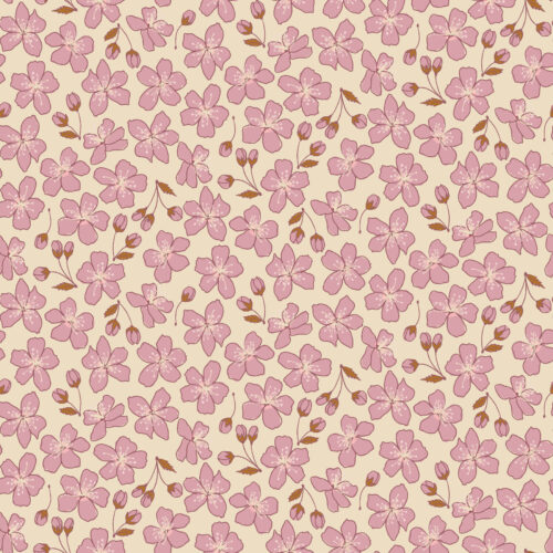 cherry blooms pink lilac