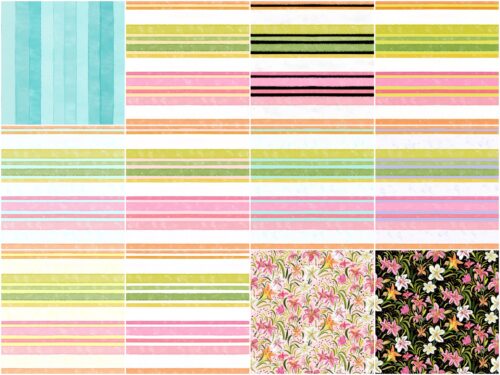 Freckled Day Lily Summer