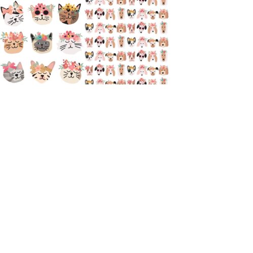 2023 flower cats and pups