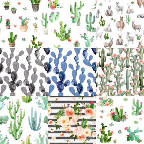 Watercolor Cactus and Succulents