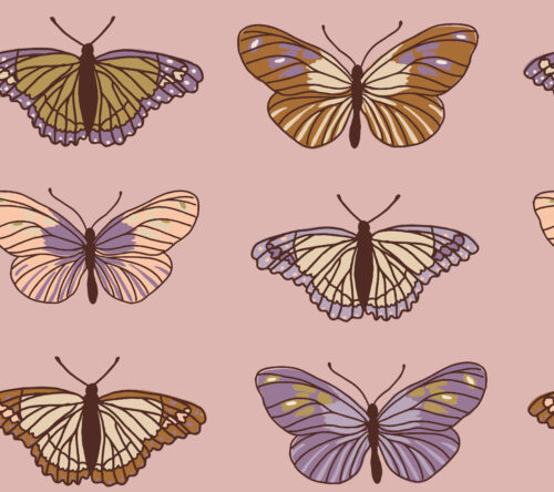 Juniper Row - Newbutterfly 06 (1)