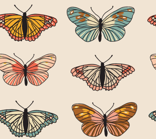 Juniper Row - Newbutterfly 07 (2)