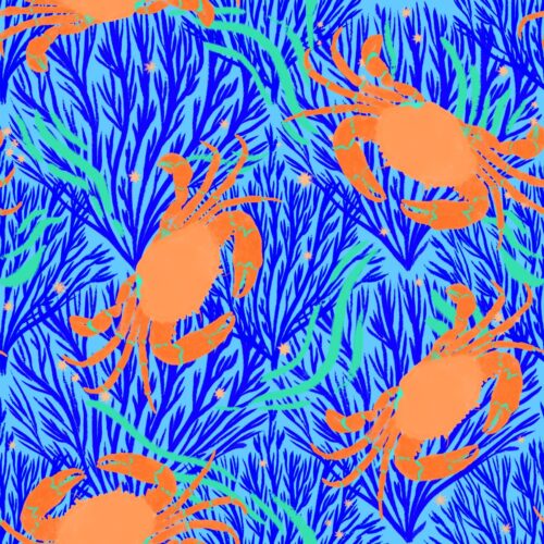 oceancraboceanblue (1)