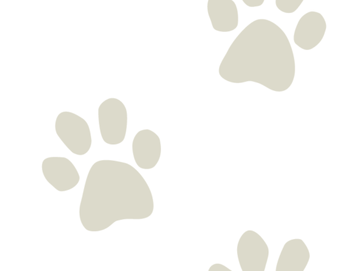 Hey Cute Design - Paws Grey 2 In