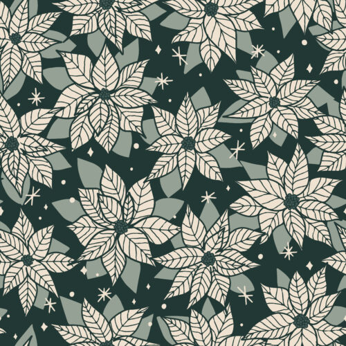 poinsettia magic evergreen