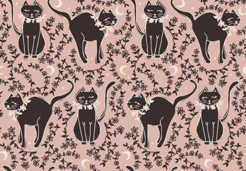 pretty kitty dusty blush