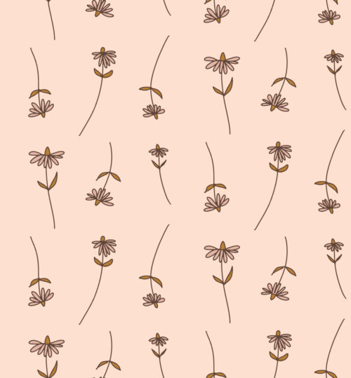 raining daisies blush