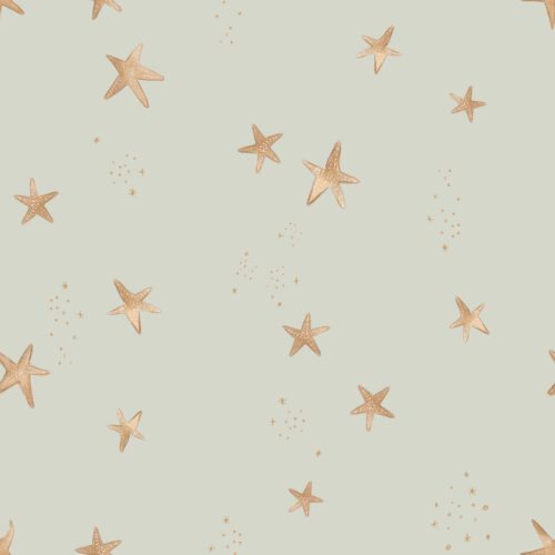 scattered starfish seafoam green