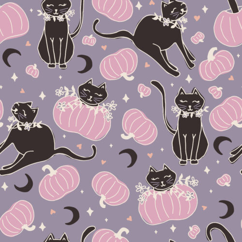 spooky cute kitties dusk