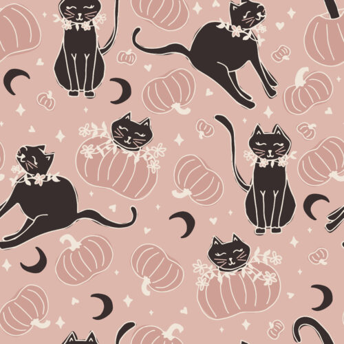 spooky cute kitties dusty blush