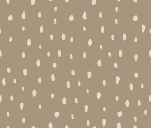 spring droplets pebble