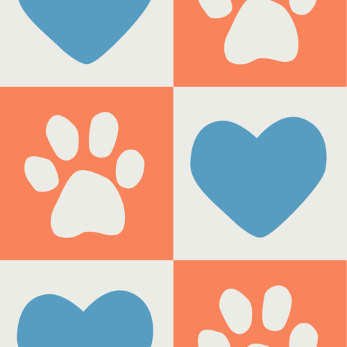 Sweet Things Blue Collection