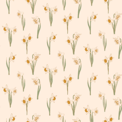 tiny daffodils cream
