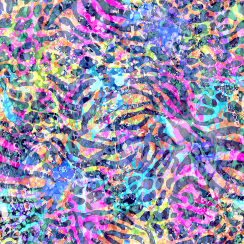 Zebra Cheetah Colorful